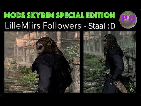 skyrim special edition make anyone a follower